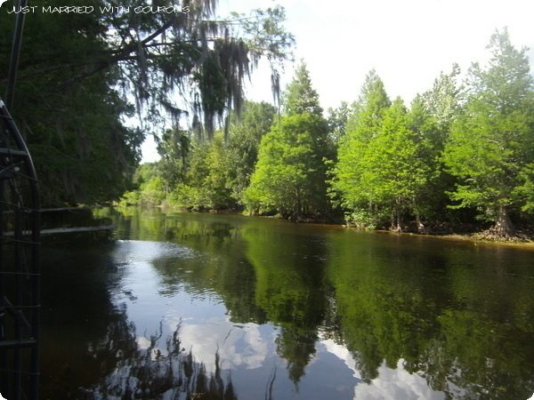 Wild bill's airboat tours coupons