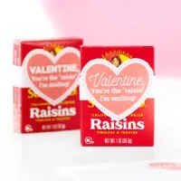 individual raisins for valentine's day gifts
