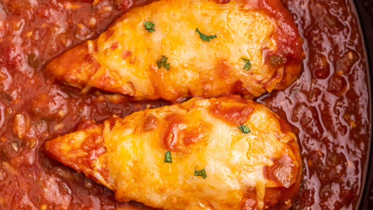 3 Ingredient Fiesta Chicken Recipe for the Slow Cooker