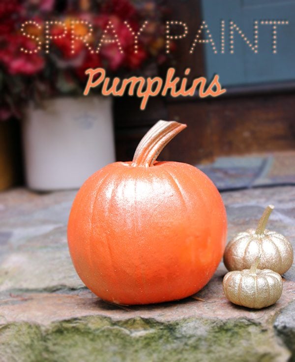 DIY Spray Paint Pumpkins | Cutefetti
