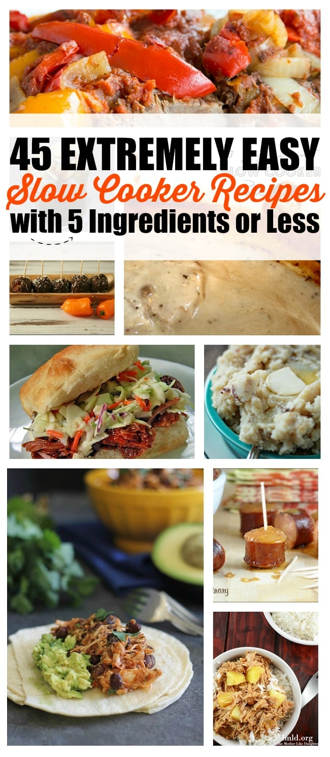 This is exactly what I need! Big list of 5 ingredient slow cooker recipes!