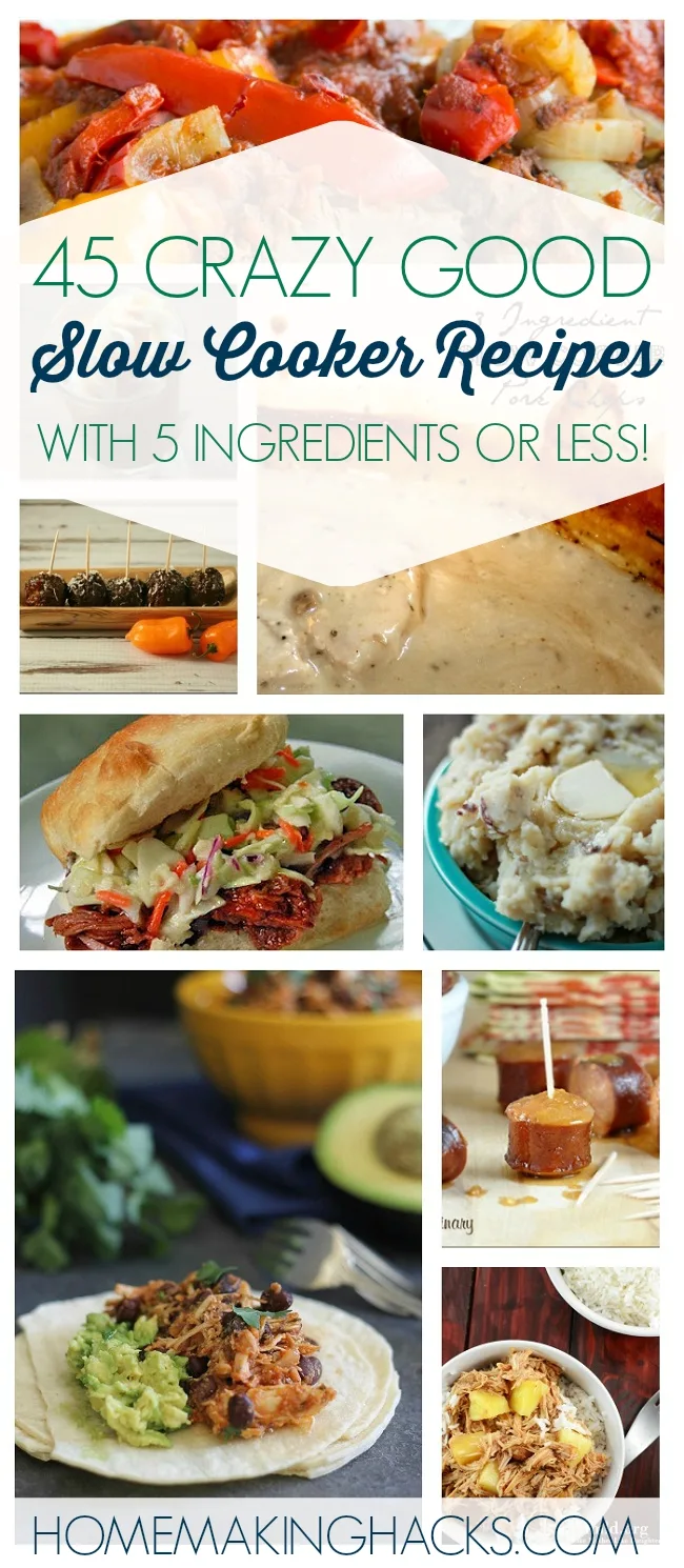 This is exaclty what I need! Big list of 5 ingredient slow cooker recipes!