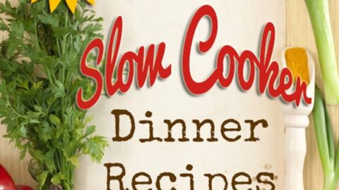 15 Delicious Paleo Slow Cooker Dinner Recipes for Fall