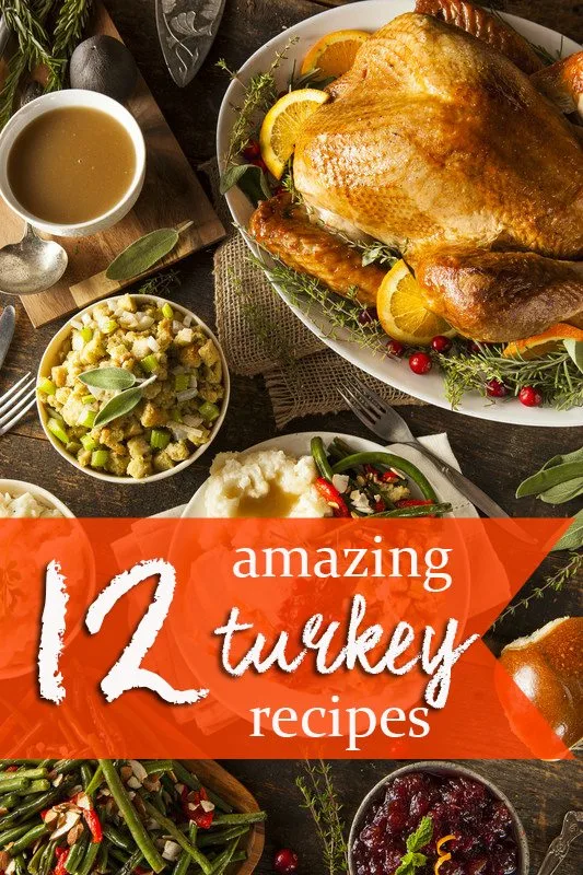 12 amazing turkey recipes for Thanksgiving