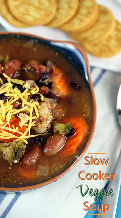 slow cooker veggie soup