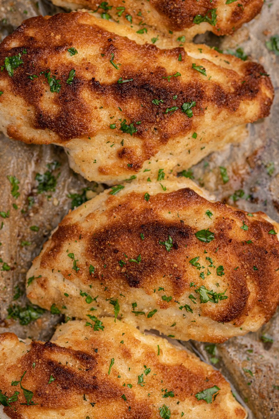 over the top photo of 4 ingredient mayo chicken breast with a parmesan crust