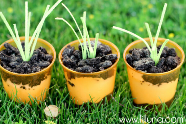 Carrot Pudding Cups