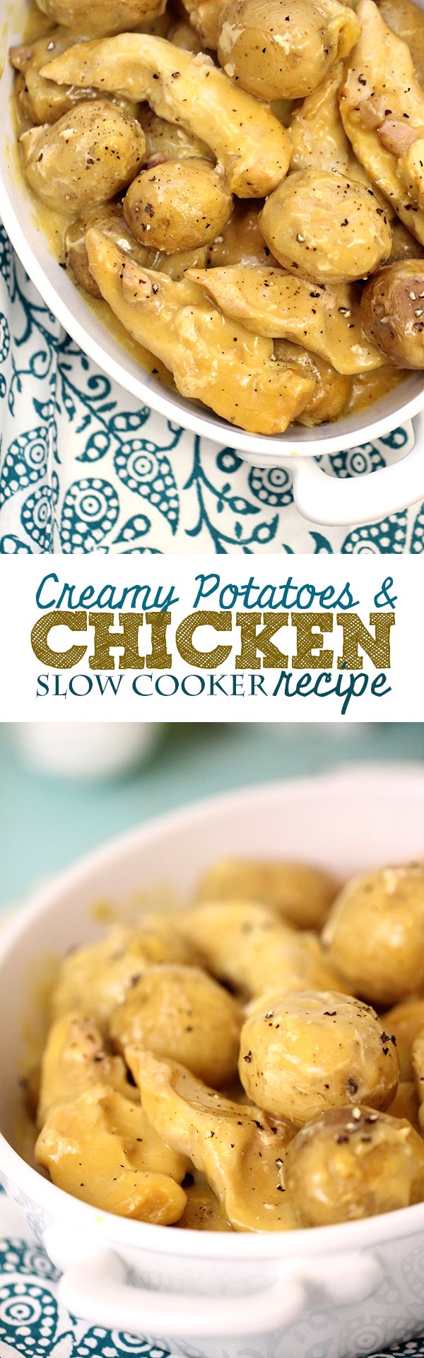 Perfect weeknight meal. Tasty and simple creamy potato chicken with only 3 ingredients!