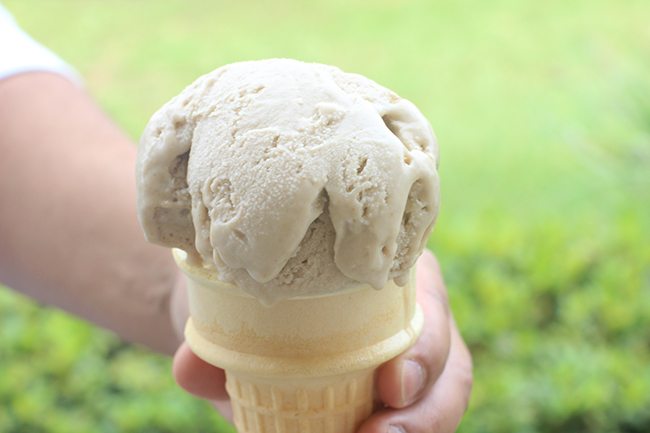 Quick Fix! Peanut Butter and Jelly Ice Cream. Only 3 Ingredients. Yes please.