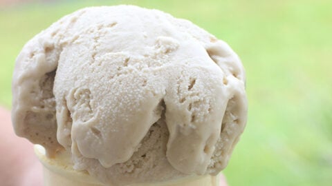 Quick Fix! Peanut Butter and Jelly Ice Cream