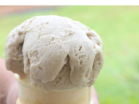 Best Homemade Ice Cream Recipes - Dash of Sanity