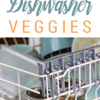 Dishwasher cooking? Kinda crazy, kinda awesome. Practical? Hmm. I'll try anything once.