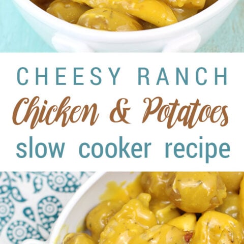 What!?Ingredientstomakethischeesyslammin'slowcookerchicken.#slowcooker#crockpot