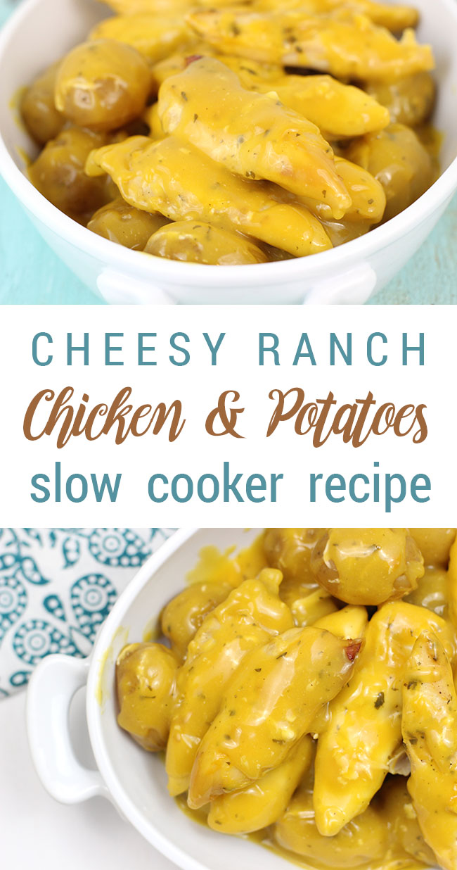 Slow Cooker Cheesy Ranch Chicken