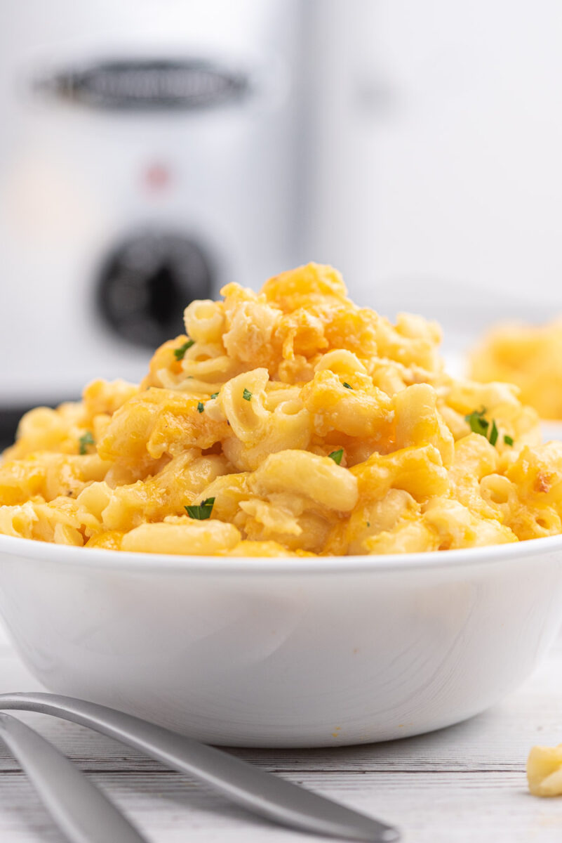 Awesome Slow Cooker Macaroni & Cheese with Just 5 Ingredients Cutefetti