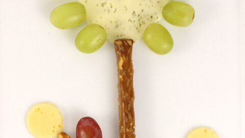 Make Kids Smile with this Creative After School Snack!