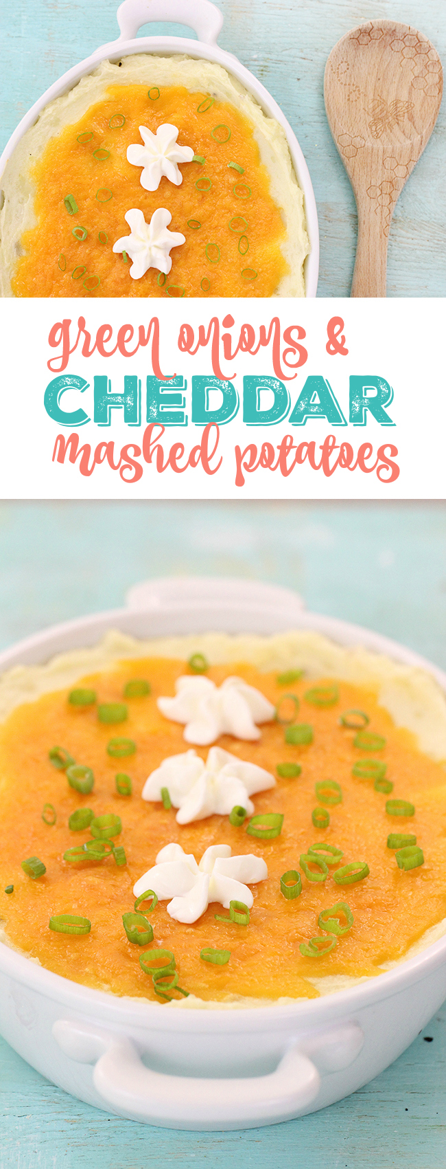 yummy green onion & cheddar mashed potatoes