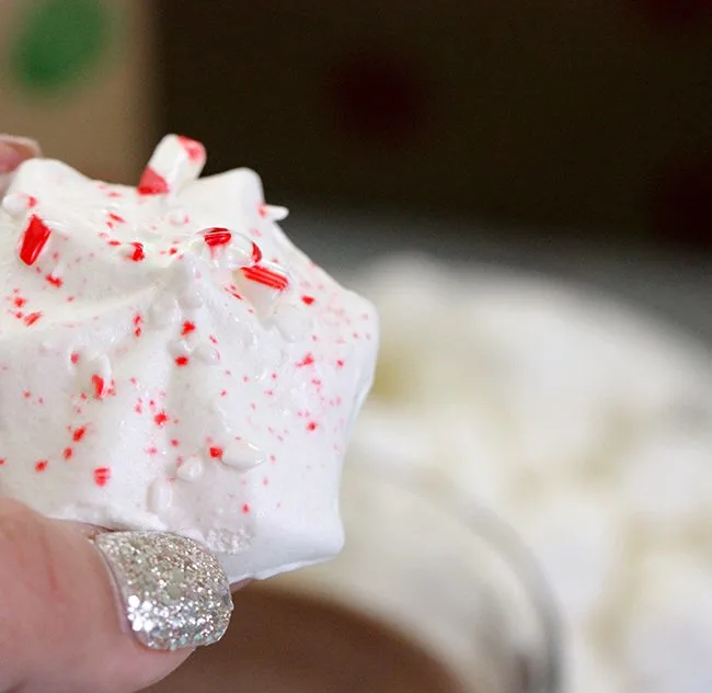 Ooh so fun! Frozen Peppermint Hot Cocoa Toppers. So easy too!