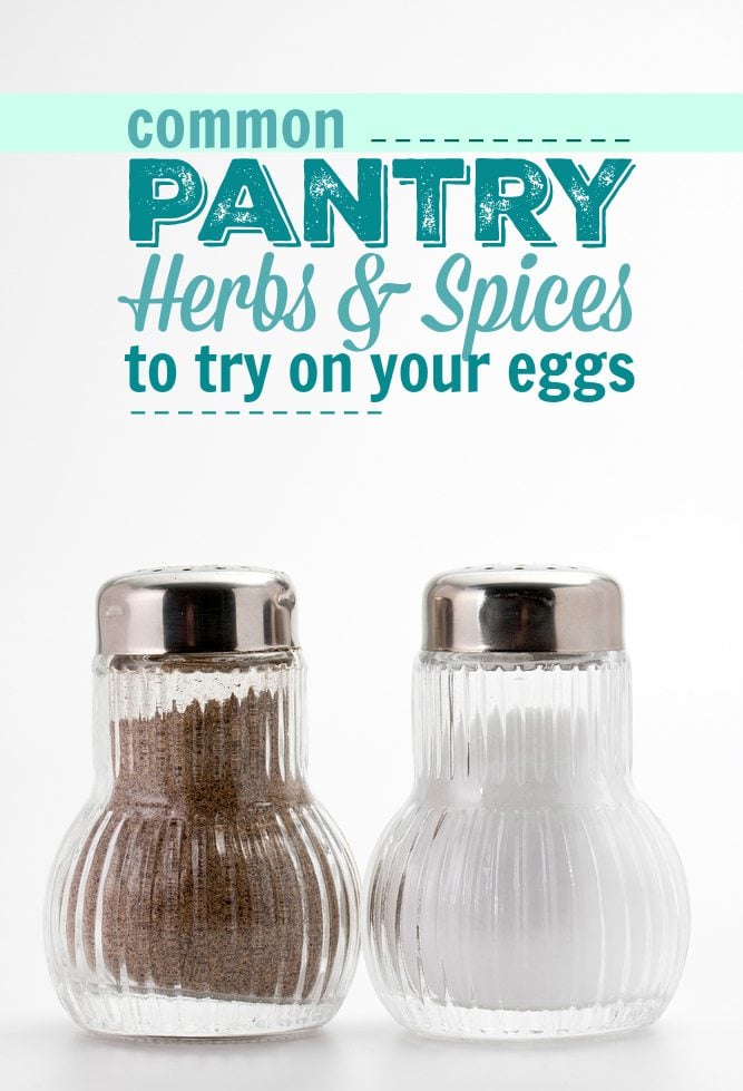 Got breakfast boredom? Eggs are like a blank slate. Take your scrambled eggs to the next level with simple herbs and spices that you probably already have in your pantry.