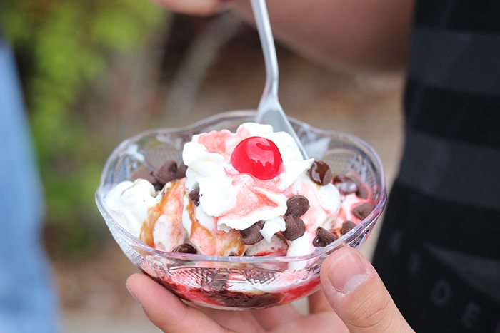 Cutest sweet ice cream party set up ideas. Get simple Dollar Store Budget Friendly Ideas to Make Your Party Pop. DIY Party. The tissue paper back drop is genius. 