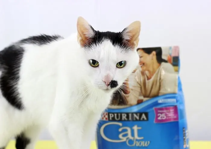 5 Ways Having a Pet Makes Me Better. Find out how to help when you buy Purina Cat Chow.