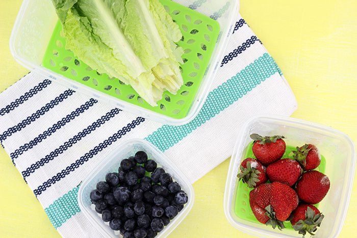 Can You Use Food Saver Bags For Lettuce Can You Use Food Saver Bags For Lettuce