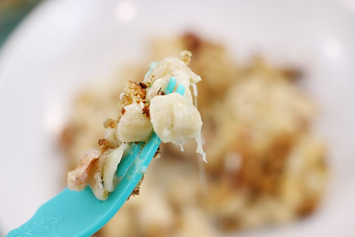 White Baked Mac & Cheese made super easy with organic shortcuts.