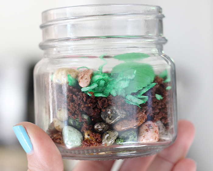 Terrarium Dessert Jars. Fun Treat for Kids to Make. 