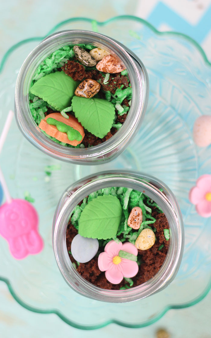 Terrarium Dessert Jars. Fun Treat for Kids to Make. 