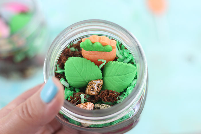 Terrarium Dessert Jars. Fun Treat for Kids to Make. 