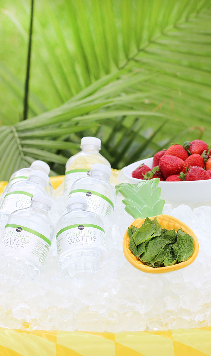 Hydration station for summer. See how to set up an easy cooler in a float and how to stock your station with hydrating food and drinks. Froozer is the perfect frozen snack to cool off with.