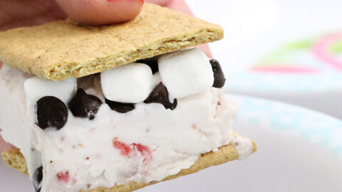 Strawberry S'mores Ice Cream Sandwiches