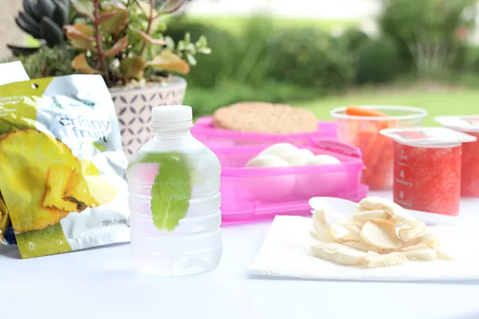 Picnic or Pool? Easy Lunch Ideas for Summer