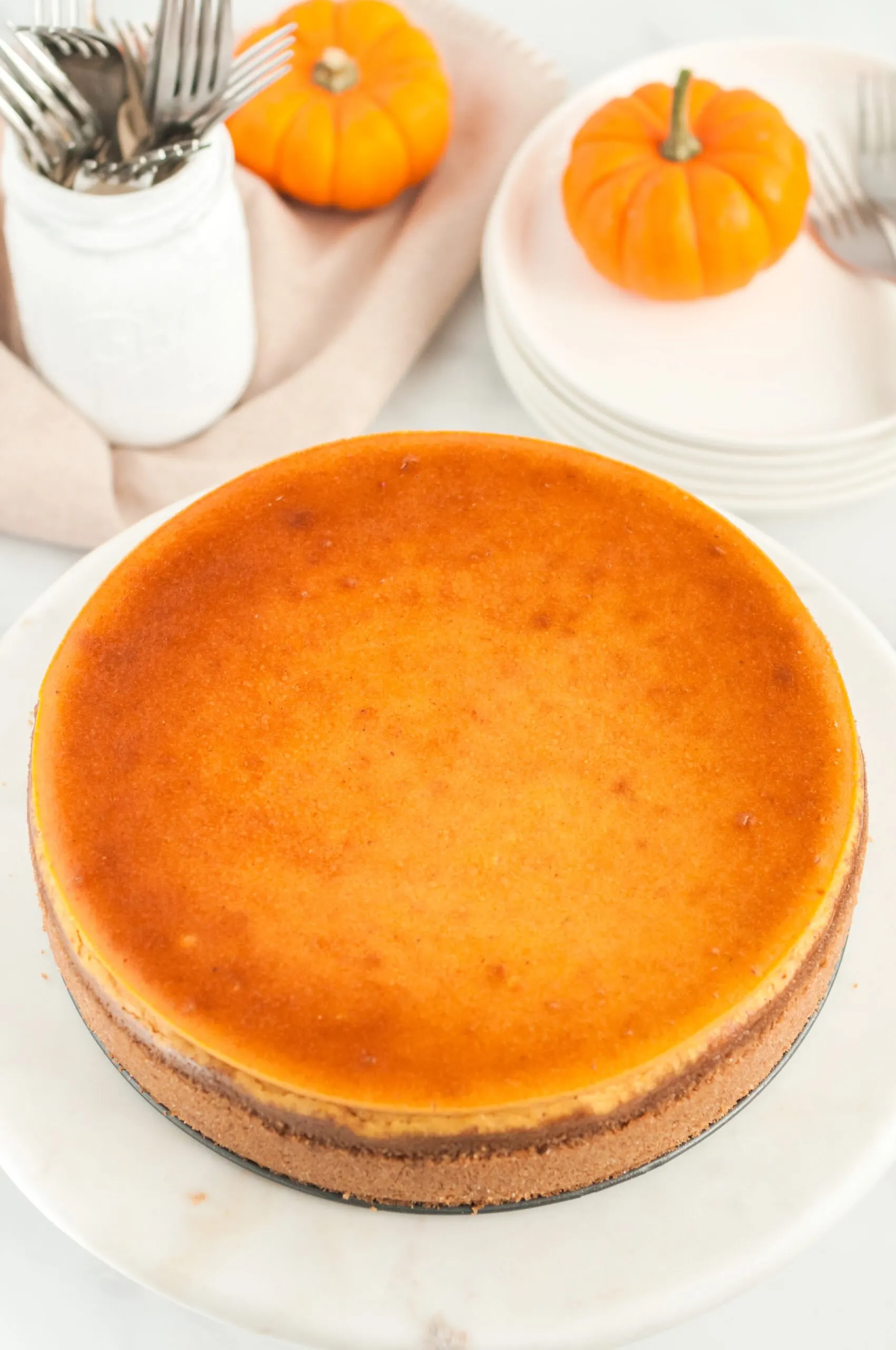 freshly baked pumpkin cheesecake for the holiday season. Lightly golden top.