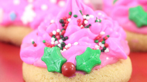 Trolls Holiday Cookies to Celebrate Trolls Holiday DVD