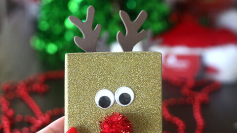 DIY Rudolph Gift Boxes for Gift Cards