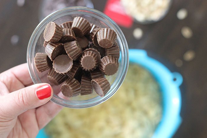 Peanut Butter and Chocolate Muddy Buddies