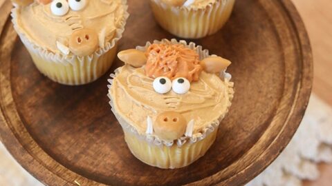 Celebrate Early Man with Hognob Cupcakes