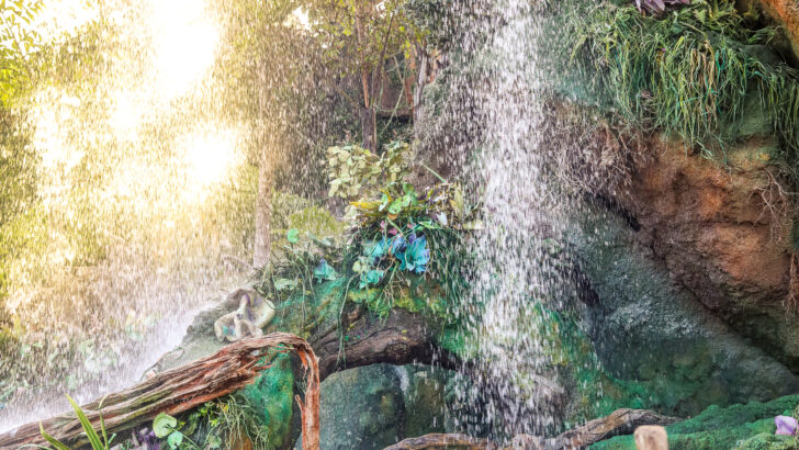 Destination Pandora! How To Visit another World Roundtrip in a Day