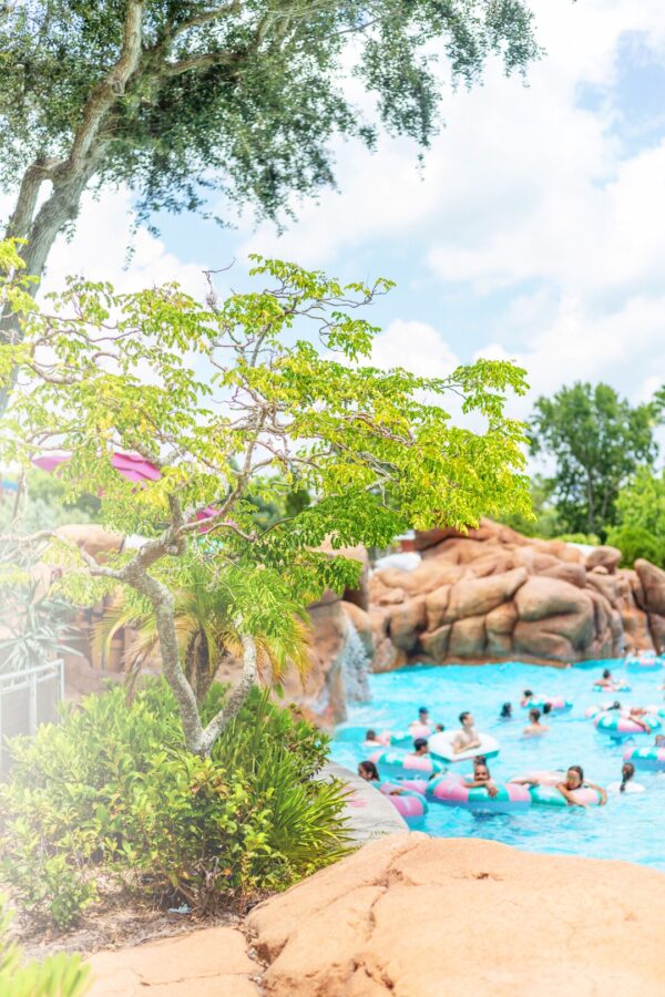 Get Cool at Walt Disney World with No Lines