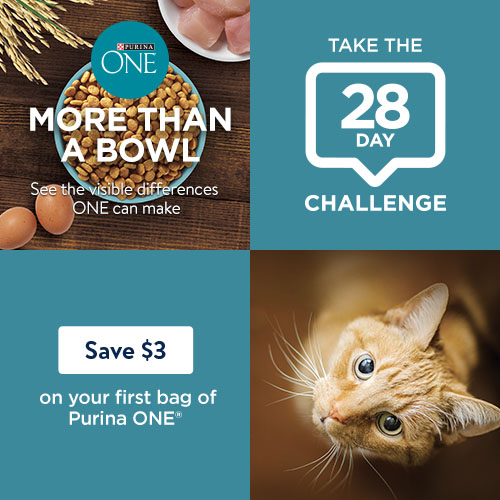 Purina One 28 Day Challenge