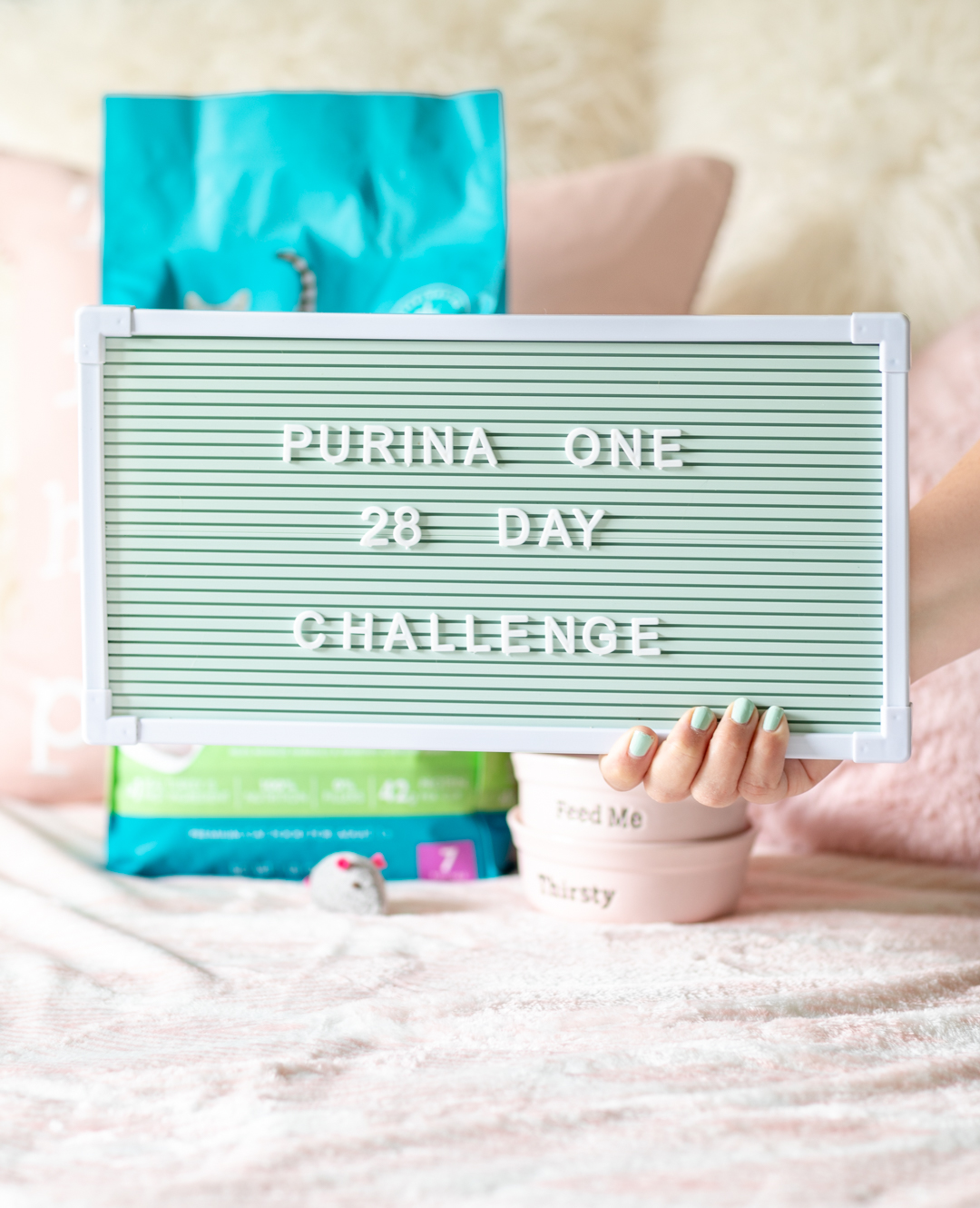 How my Cat s Purine One 28 Day Challenge Went