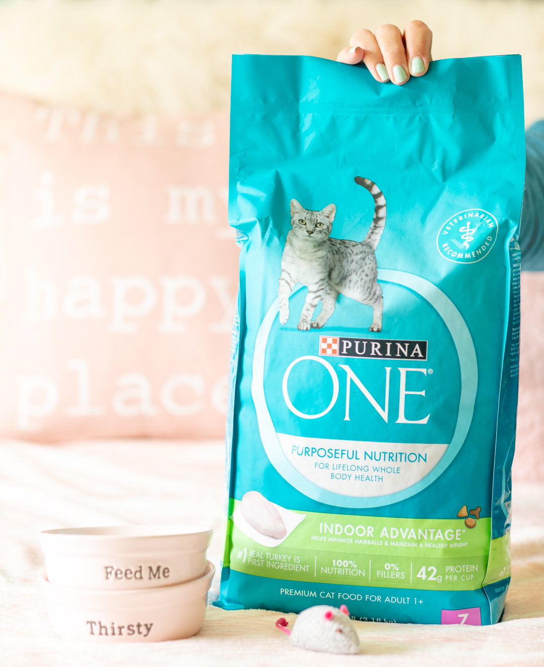 Purina One 28 Day Challenge