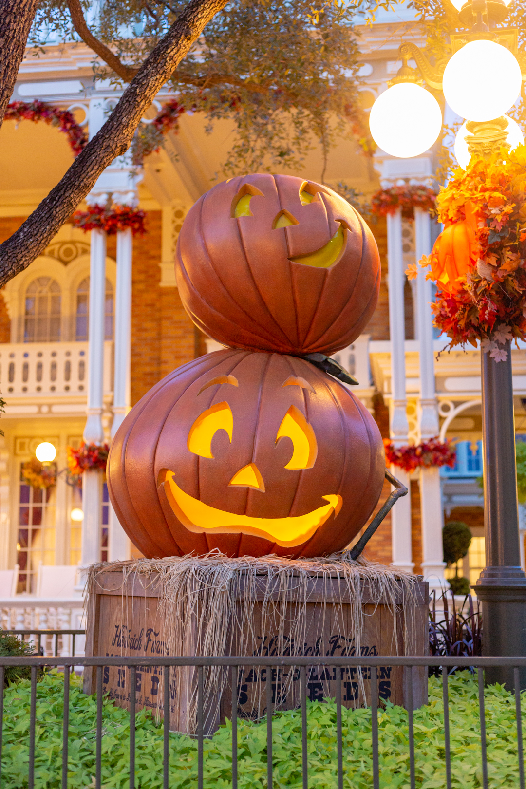 Mickey's Not So Scary Party Decor