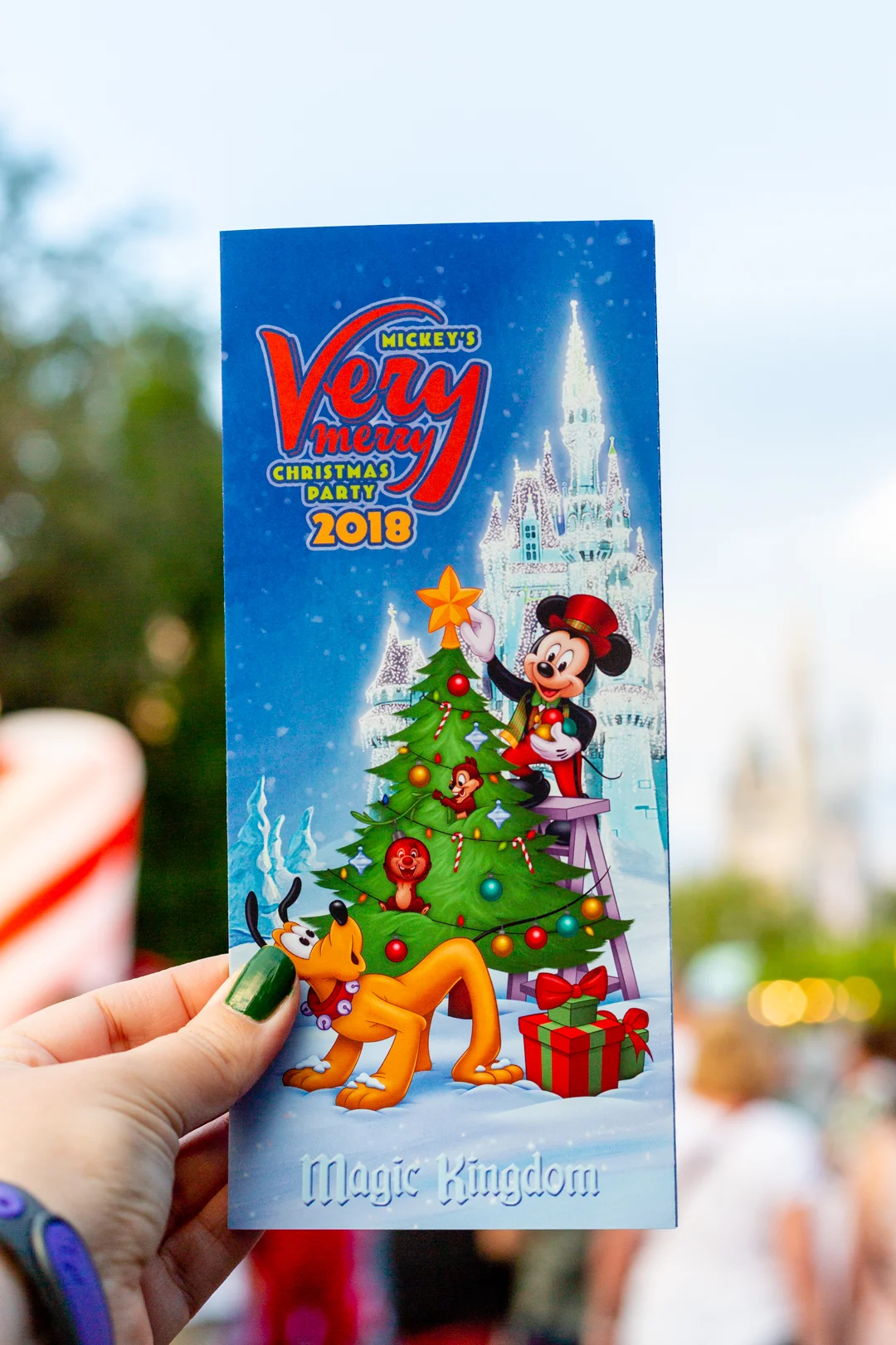 WDW Very Merry Christmas party guide.