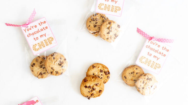 DIY Cookie Printable Valentines