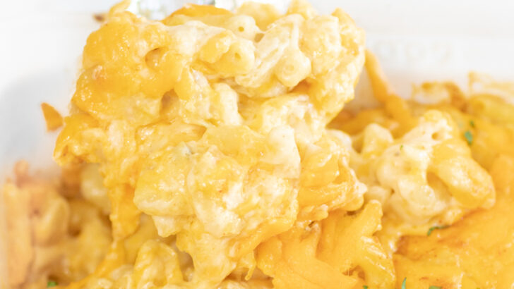 Incredible 5 Ingredient Baked Mac & Cheese