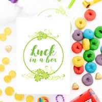 luck in a box diy gift idea for st. patrick's day