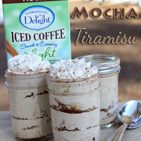 Frozen Mocha Iced Coffee Recipe with International Delight Mocha Light Iced Coffee