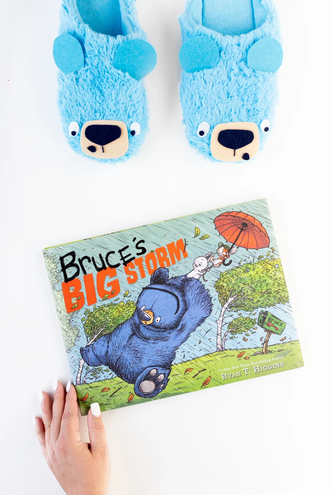 Bruce's Big Storm Book and cute Slippers.